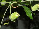 DSCN8478