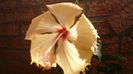 019