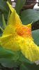 WP_20140908_14_43_27_Pro