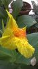 WP_20140908_14_43_37_Pro