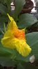 WP_20140908_14_43_47_Pro