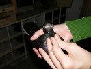 DSCF0339