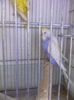 IMG_20140721_190301