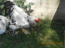DSCN1361