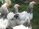 DSCN1364