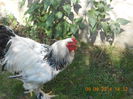 DSCN1365