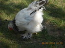 DSCN1367