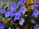 DSC07511