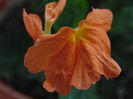 DSC07677