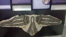 WP_20140906_084