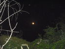 DSCF0019