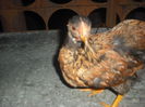 DSCF0034