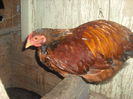 DSCF0044
