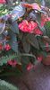 WP_20140910_08_01_06_Pro