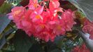 WP_20140910_08_01_16_Pro
