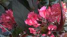 WP_20140910_08_02_11_Pro