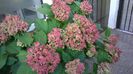 WP_20140910_08_02_25_Pro