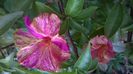 WP_20140910_08_04_18_Pro