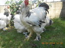 DSCN1355