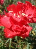 20140910_131407