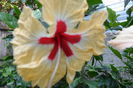 sylvia g.