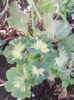 IMG_20140910_145903