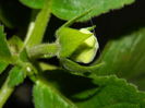 DSCN8776