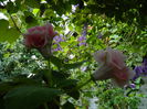DSCN8779