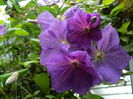 DSCN8791