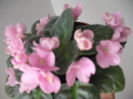 DSCF1339