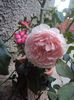 DSC03282