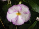 P1070521