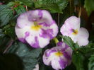 P1070545