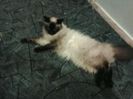 Picture 008