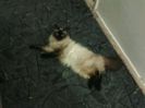 Picture 009