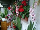 Picture 022