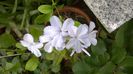 WP_20140911_16_45_59_Pro