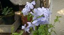 WP_20140911_16_46_16_Pro