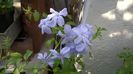 WP_20140911_16_46_31_Pro