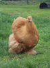 SAM_2676