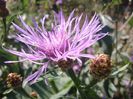 IMG_20140911_135502