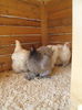 Picture 018