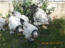 DSCN1353