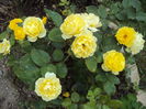 DSC03399