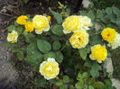 DSC03400