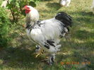 DSCN1357