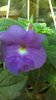 WP_20140912_10_00_17_Pro