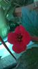 WP_20140912_10_00_31_Pro