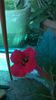 WP_20140912_10_00_37_Pro