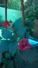 WP_20140912_10_00_57_Pro